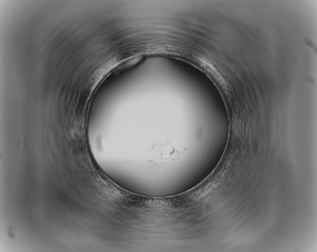 X0000096381089200802141425