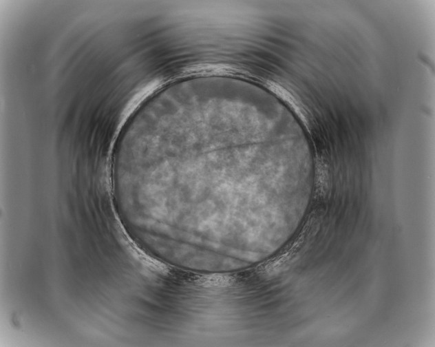 X0000096381090200802141425