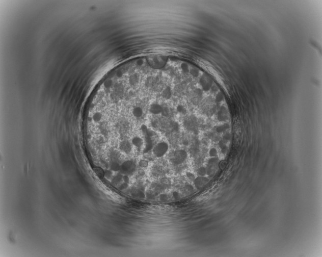 X0000096381091200802141425