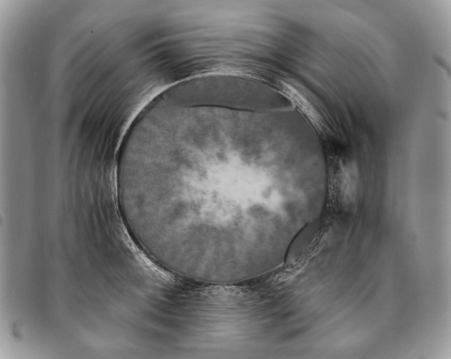 X0000096381092200802141425