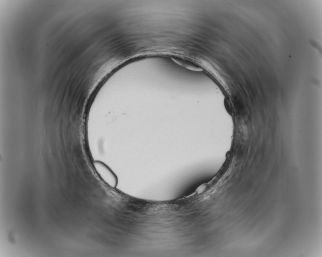 X0000096381093200802141425