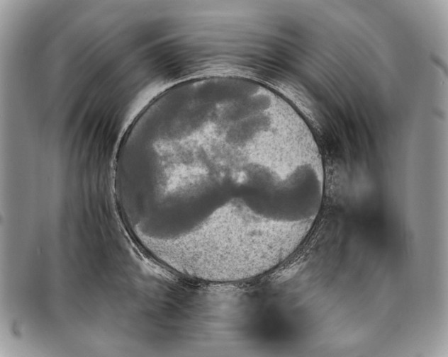 X0000096381094200802141425