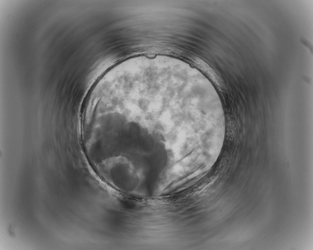 X0000096381095200802141425