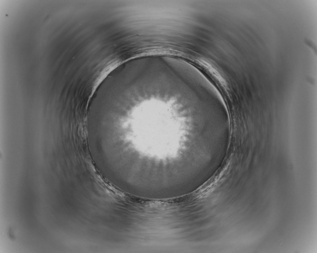 X0000096381097200802141425