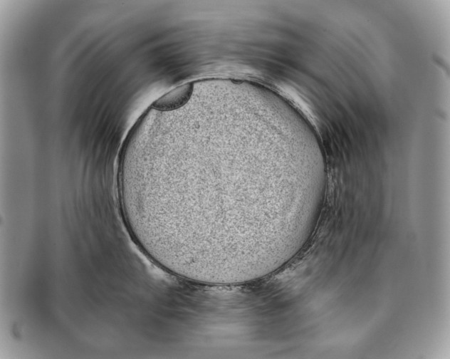 X0000096381103200802141425