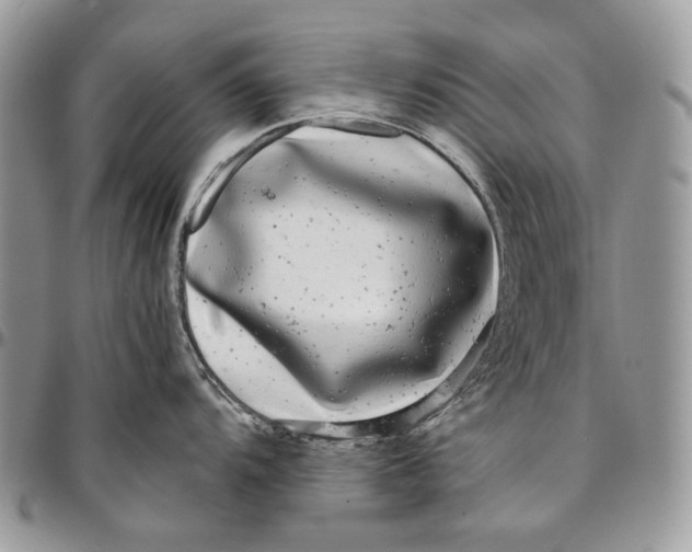 X0000096381104200802141425