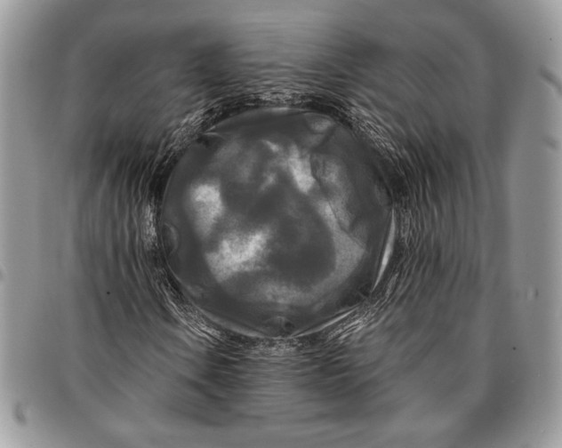 X0000096381106200802141424