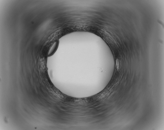 X0000096381107200802141424