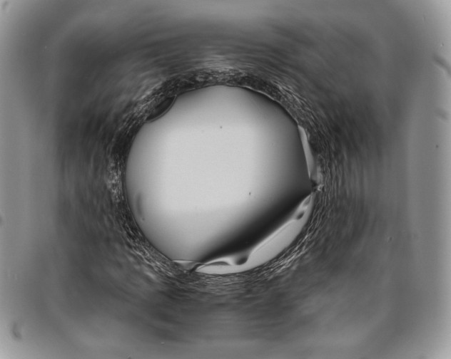 X0000096381109200802141424