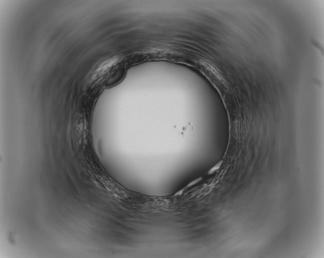 X0000096381111200802141424