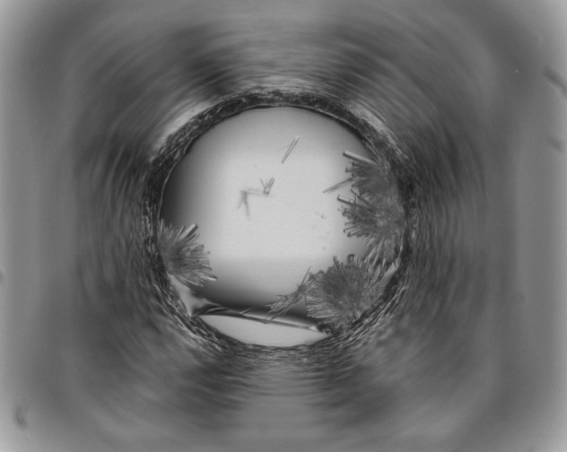 X0000096381112200802141424