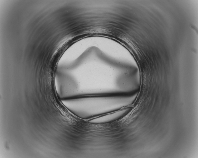 X0000096381115200802141424