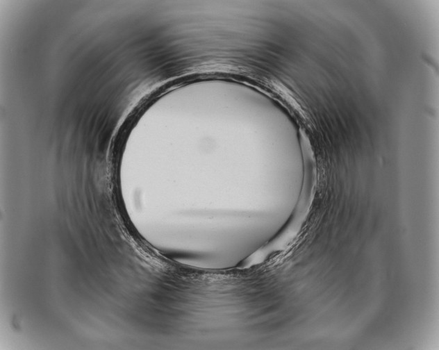 X0000096381116200802141424