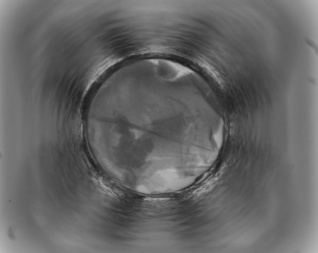 X0000096381117200802141424