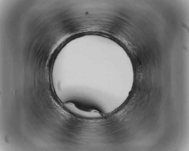 X0000096381118200802141424