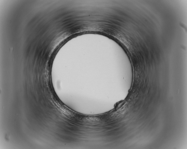 X0000096381119200802141424