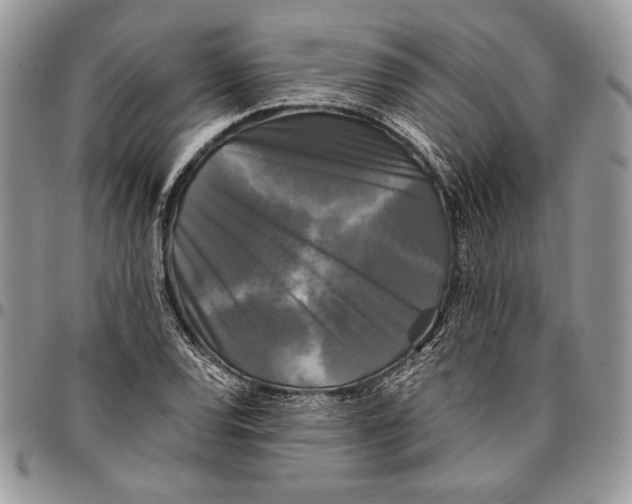 X0000096381120200802141424