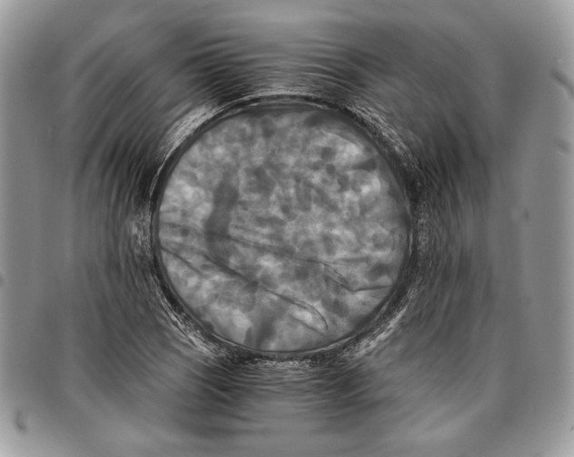 X0000096381121200802141424