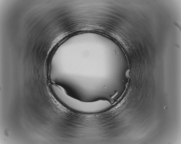 X0000096381122200802141424