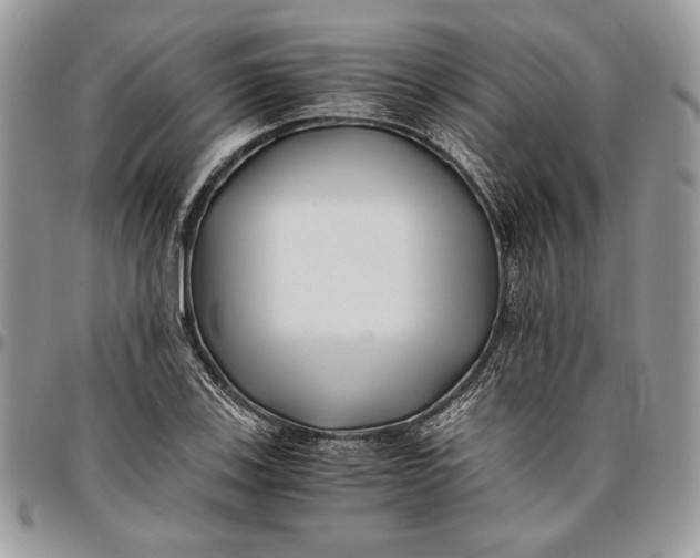 X0000096381123200802141424