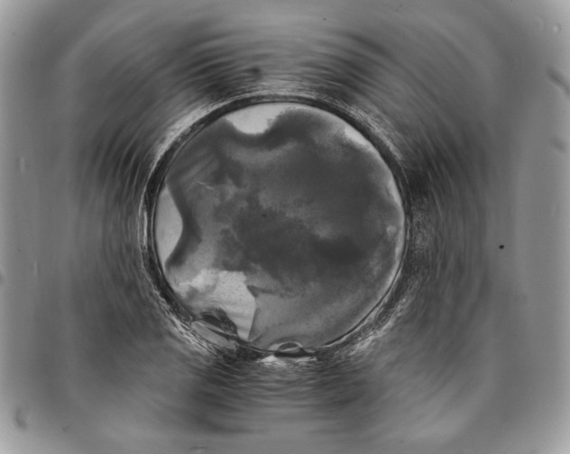 X0000096381125200802141424