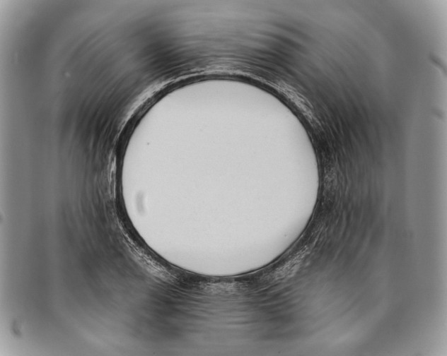 X0000096381126200802141424