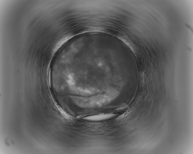 X0000096381127200802141424