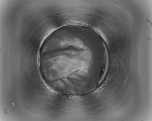 X0000096381128200802141425