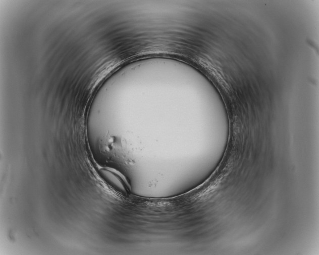 X0000096381129200802141425