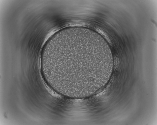 X0000096381130200802141425