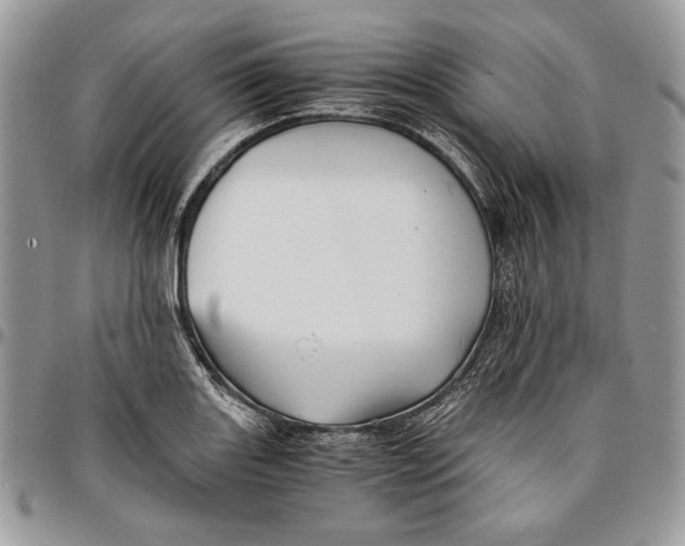 X0000096381131200802141425