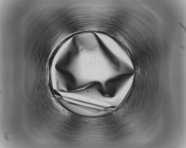 X0000096381132200802141425