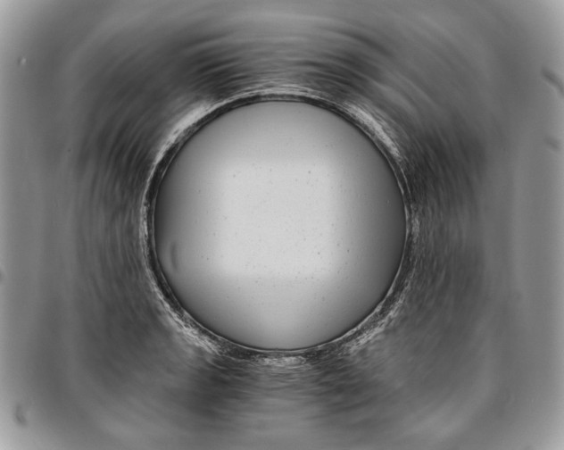 X0000096381133200802141425