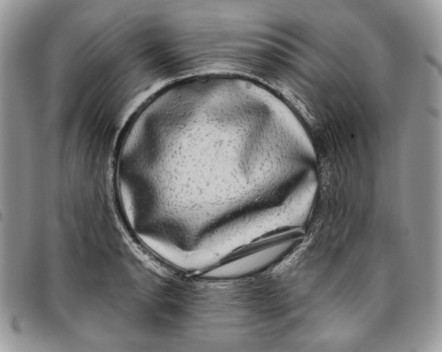 X0000096381134200802141425