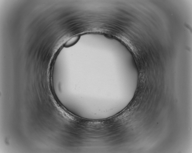 X0000096381135200802141425