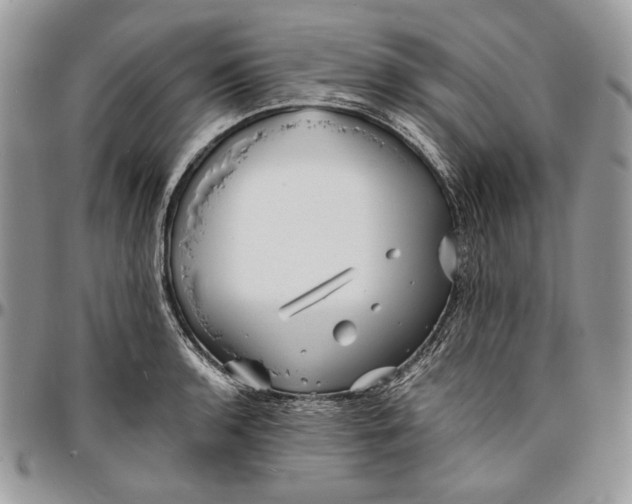 X0000096381136200802141425