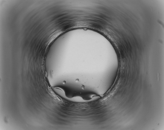 X0000096381137200802141425