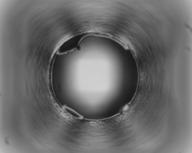 X0000096381138200802141425