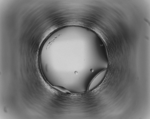 X0000096381139200802141425