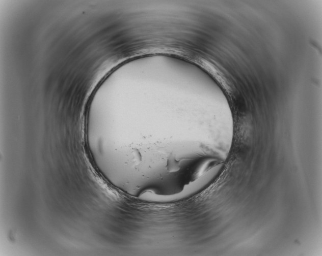 X0000096381140200802141425