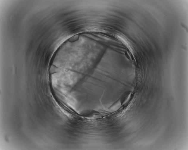 X0000096381141200802141425