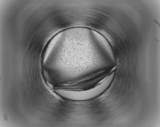 X0000096381142200802141425