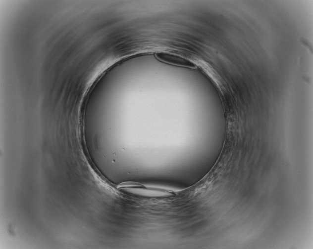 X0000096381143200802141425