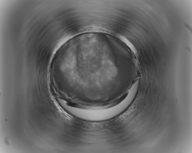 X0000096381144200802141425