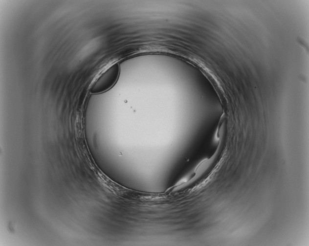 X0000096381145200802141425