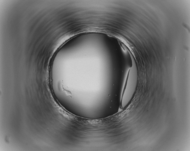 X0000096381147200802141425