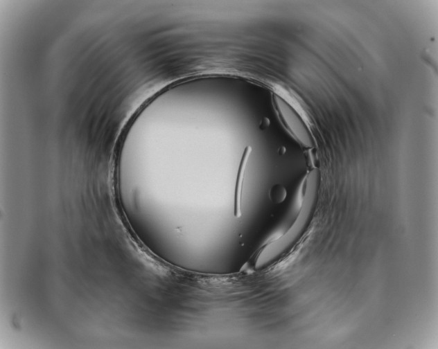 X0000096381149200802141425