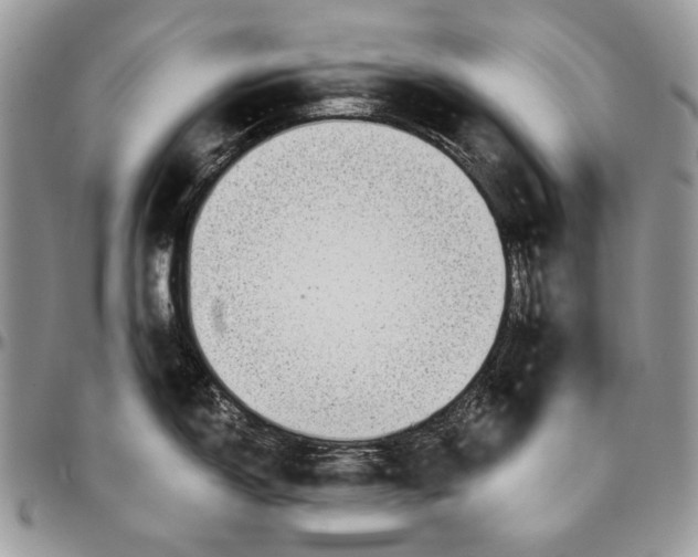 X0000096381150200802141425