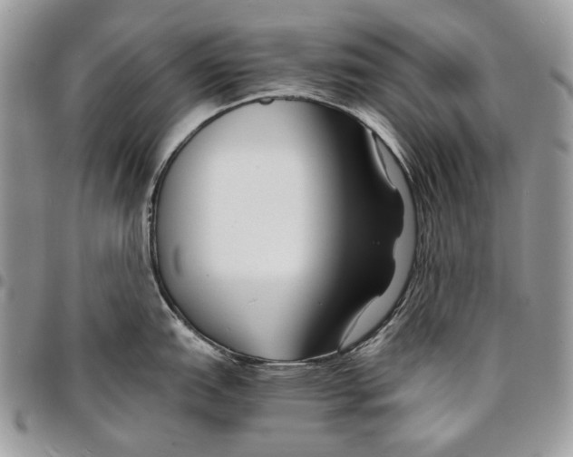 X0000096381151200802141425