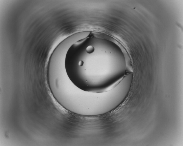 X0000096381152200802141425